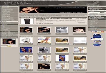 Bitte auf den Screenshot clicken um zur Partnerhomepage zu gelangen.